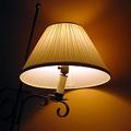 avatar for lampshade@ramblingreaders.org