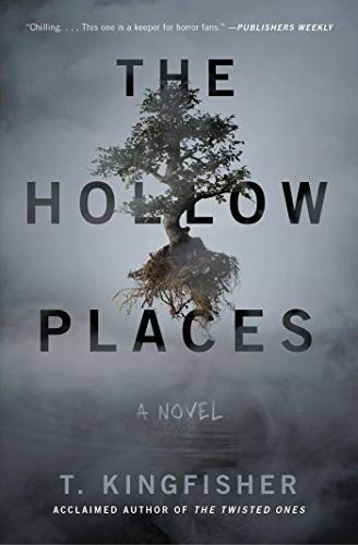 T. Kingfisher: The Hollow Places (Paperback, Gallery / Saga Press)