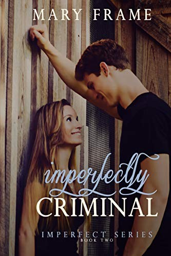 Mary Frame: Imperfectly Criminal (Paperback, CreateSpace Independent Publishing Platform)