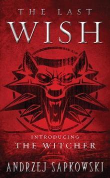 Andrzej Sapkowski: The Last Wish (2008)