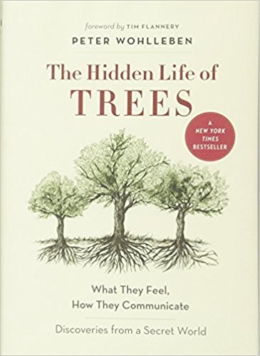 Peter Wohlleben, Benjamin Flao, Fred Bernard: The Hidden Life of Trees (2016, Greystone Books)