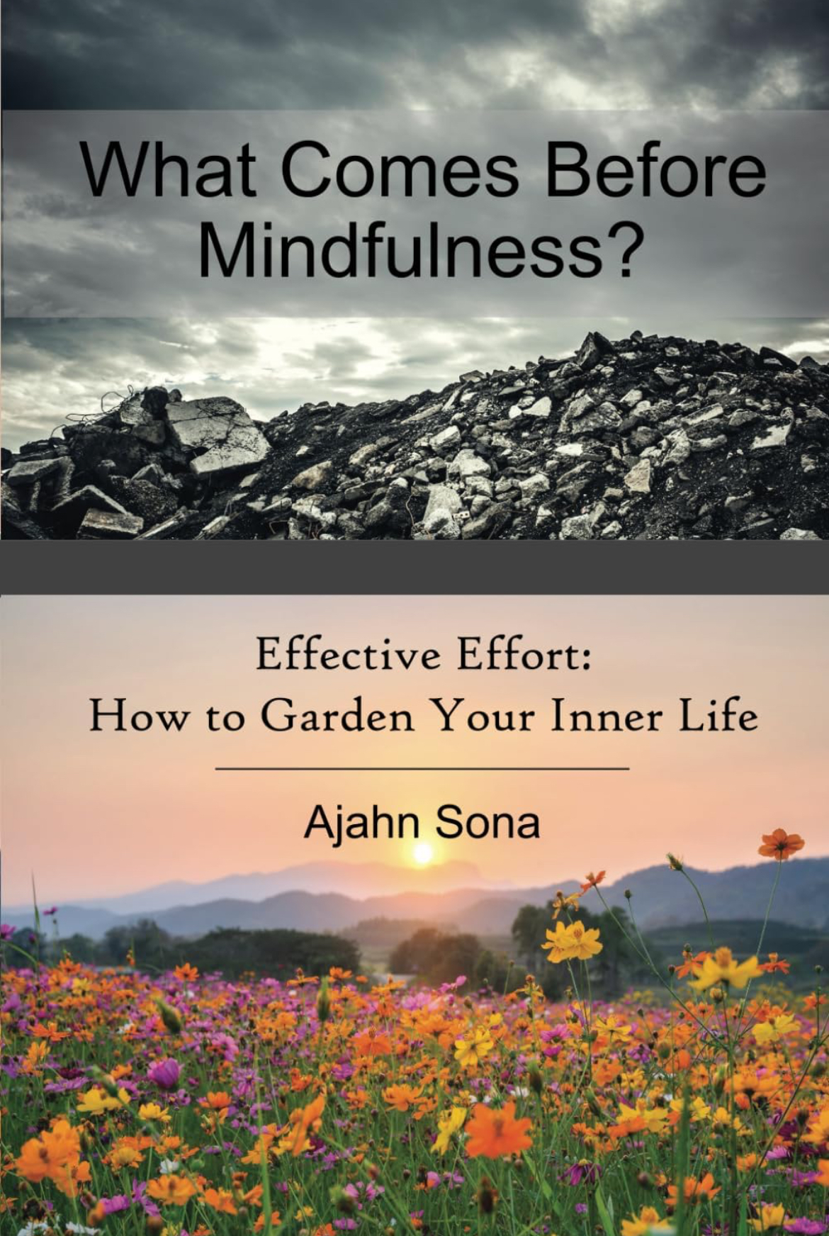 Ajahn Sona: What Comes Before Mindfulness? (EBook, Independently Published)